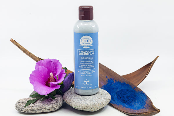TERRE DE COULEUR SHAMPOOING RYTHME BLEU